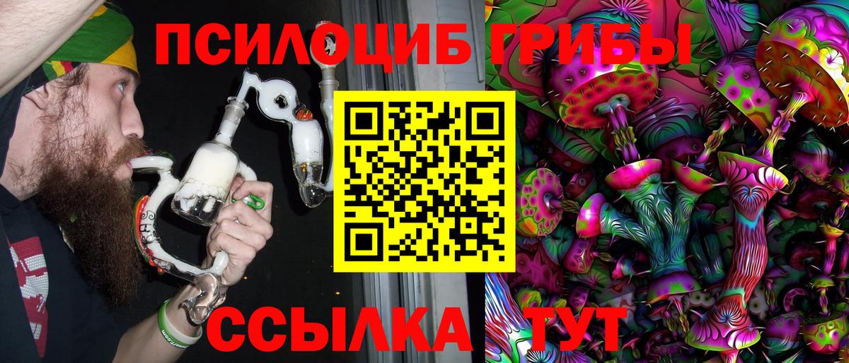 Галлюциногенные грибы Psilocybine cubensis Сергиев Посад