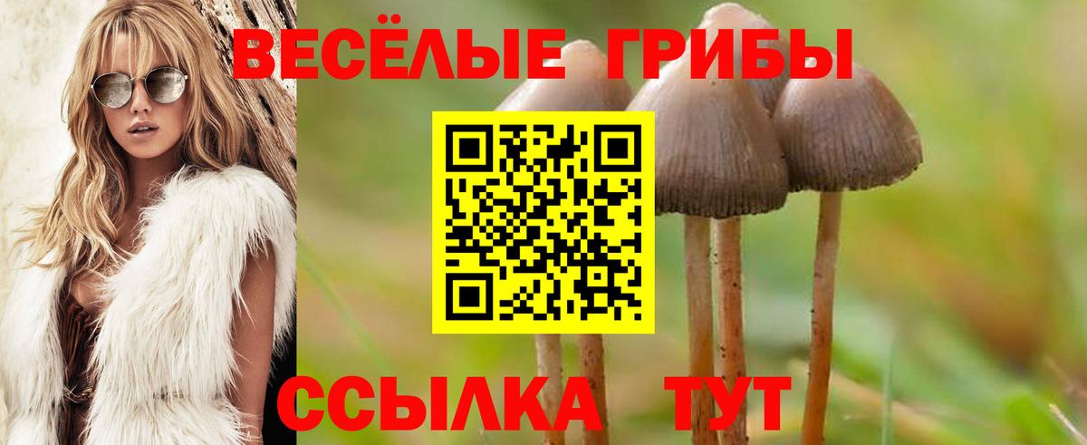 Сергиев Посад  Псилоцибиновые грибы MAGIC MUSHROOMS  Вход с VPN 
